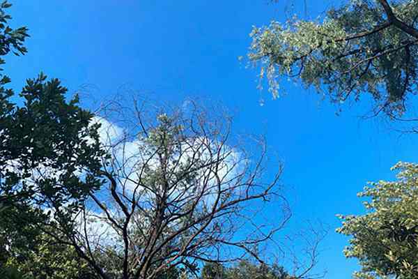 济南高新区分局“四维聚力” 扎实推进夏秋季大气污染防治攻坚