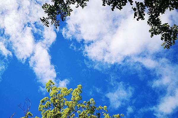 广州：护航开幕式 共绘“全运蓝”