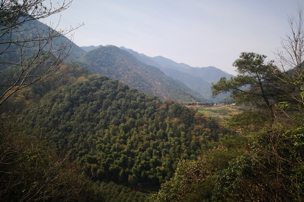 甘肃“五棋联动”筑牢西部生态屏障，PM2.5平均浓度连续两年同比下降