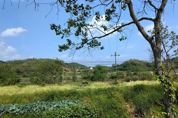 京津冀及周边地区出现中至重度污染，多地启动预警积极应对