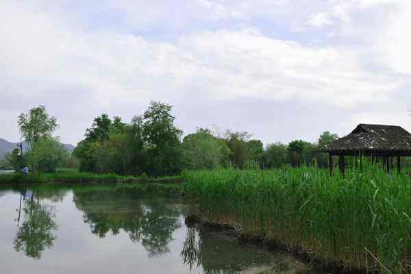 滁州市明光市全方位提升生态环境治理水平