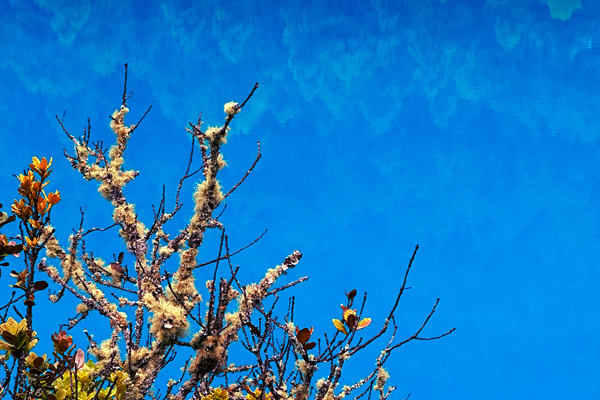 生态环境部部长黄润秋出席COP30“中国角”系列边会活动并会见外方高级代表